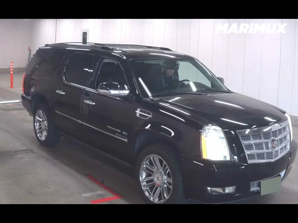 CADILLAC ESCALADE 4WD OTHERS