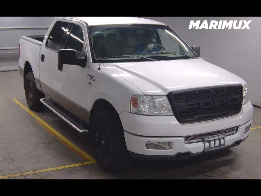 FORD F-150 4D 4WD OTHERS