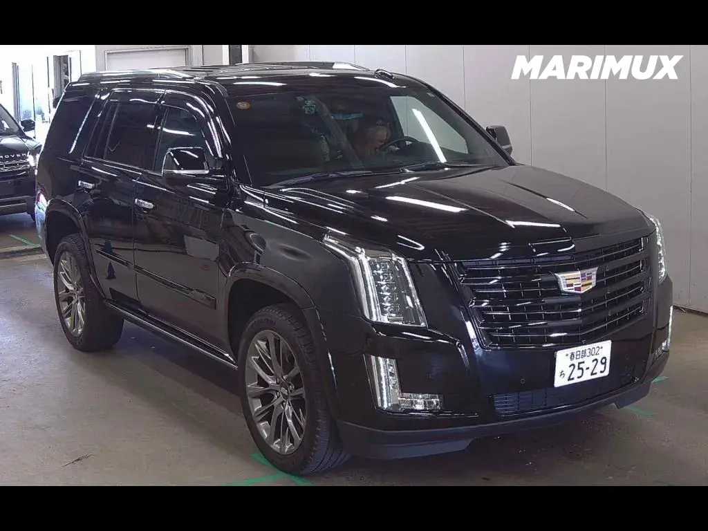 CADILLAC ESCALADE 4WD OTHERS