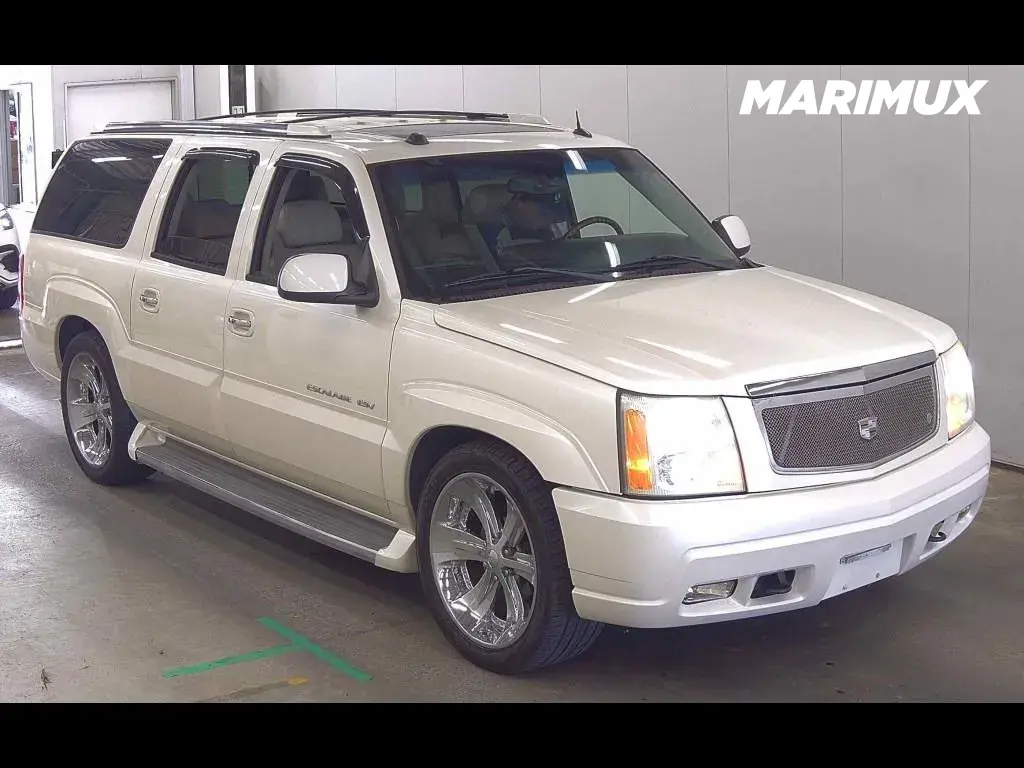 CADILLAC ESCALADE 4WD OTHERS