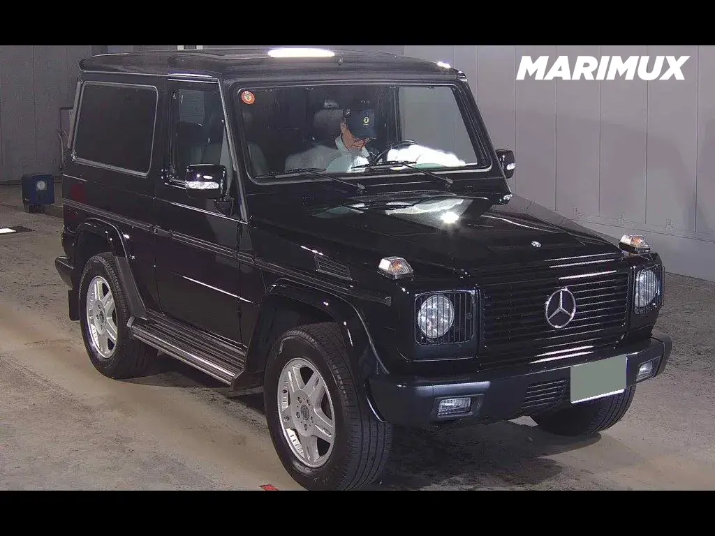 MERCEDES BENZ G-CLASS 3D 4WD G320