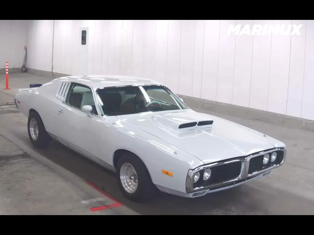 DODGE CHARGER CP