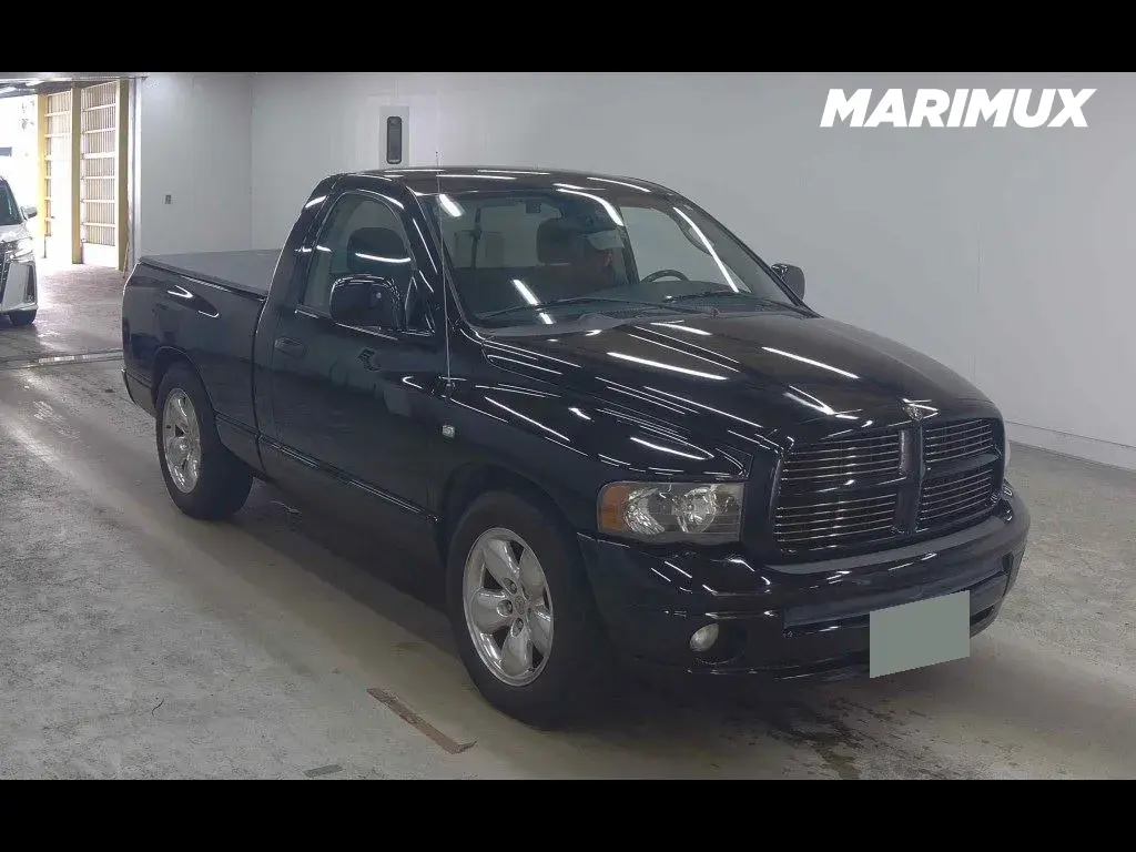 DODGE RAM 2D OTHERS